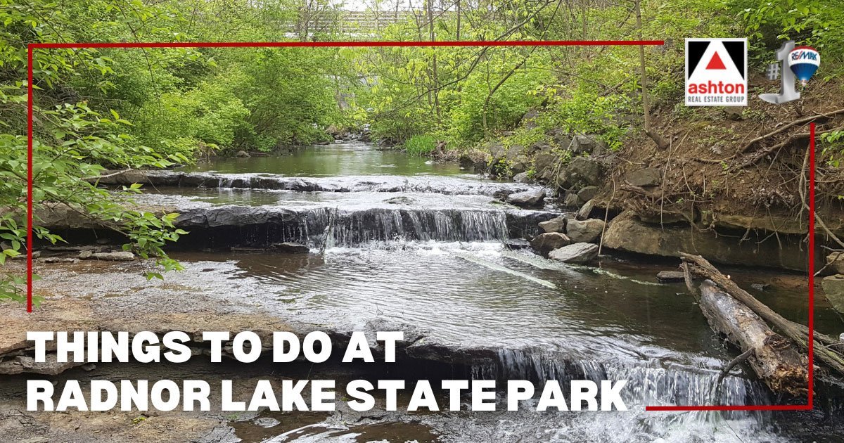 Things to Do at Radnor Lake State Park